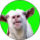 LICKGOAT