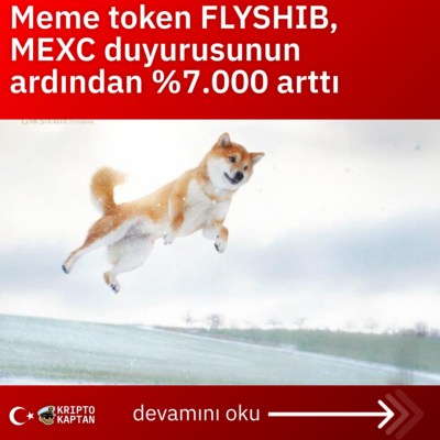 Meme token FLYSHIB, MEXC duyurusunun ardından %7.000 arttı