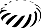 Tokamak Network