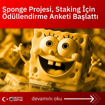 Sponge Projesi, Staking İçin Ödüllendirme Anketi Başlattı