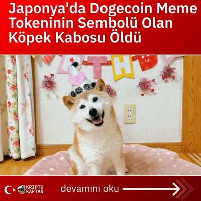 Japonya’da Dogecoin Meme Tokeninin Sembolü Olan Köpek Kabosu Öldü