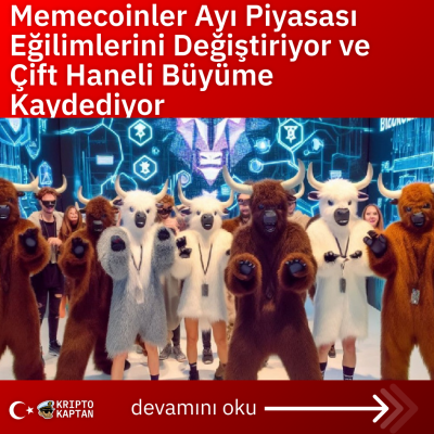 Memecoinler Ayı Piyasası Eğilimlerini Değiştiriyor ve Çift Haneli Büyüme Kaydediyor