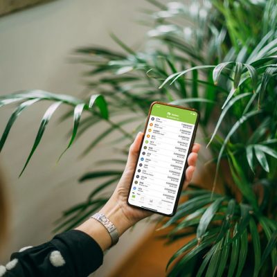 PTPWallet Hakkında Her Şey