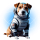 TON DOG