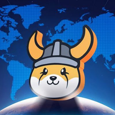 Floki Coin Nereden Alınır: Adım Adım Rehber